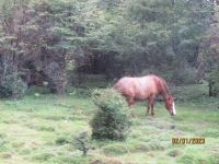 Zugfahrt am Ende der Welt