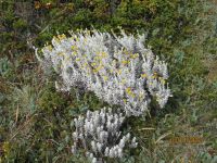 Fahrt auf dem Beagle-Kanal