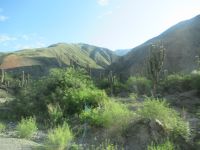 Fahrt nach San Antonio de los Cobres