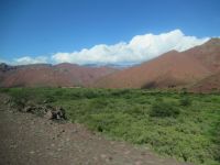 Fahrt durch die Muschelschlucht nach Cafayate