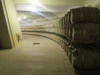 Weinverkostung in Cafayate