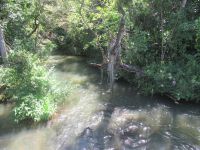 Iguazu-Wasserfälle - argentinische Seite