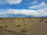 Auf den Weg zum Salzsee