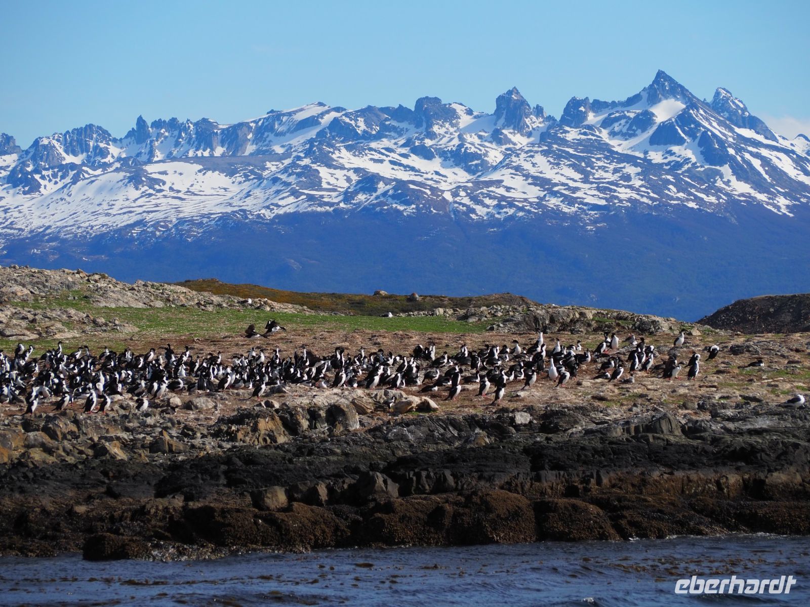 Schifffahrt auf dem Beagle Kanal