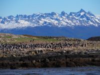 Schifffahrt auf dem Beagle Kanal