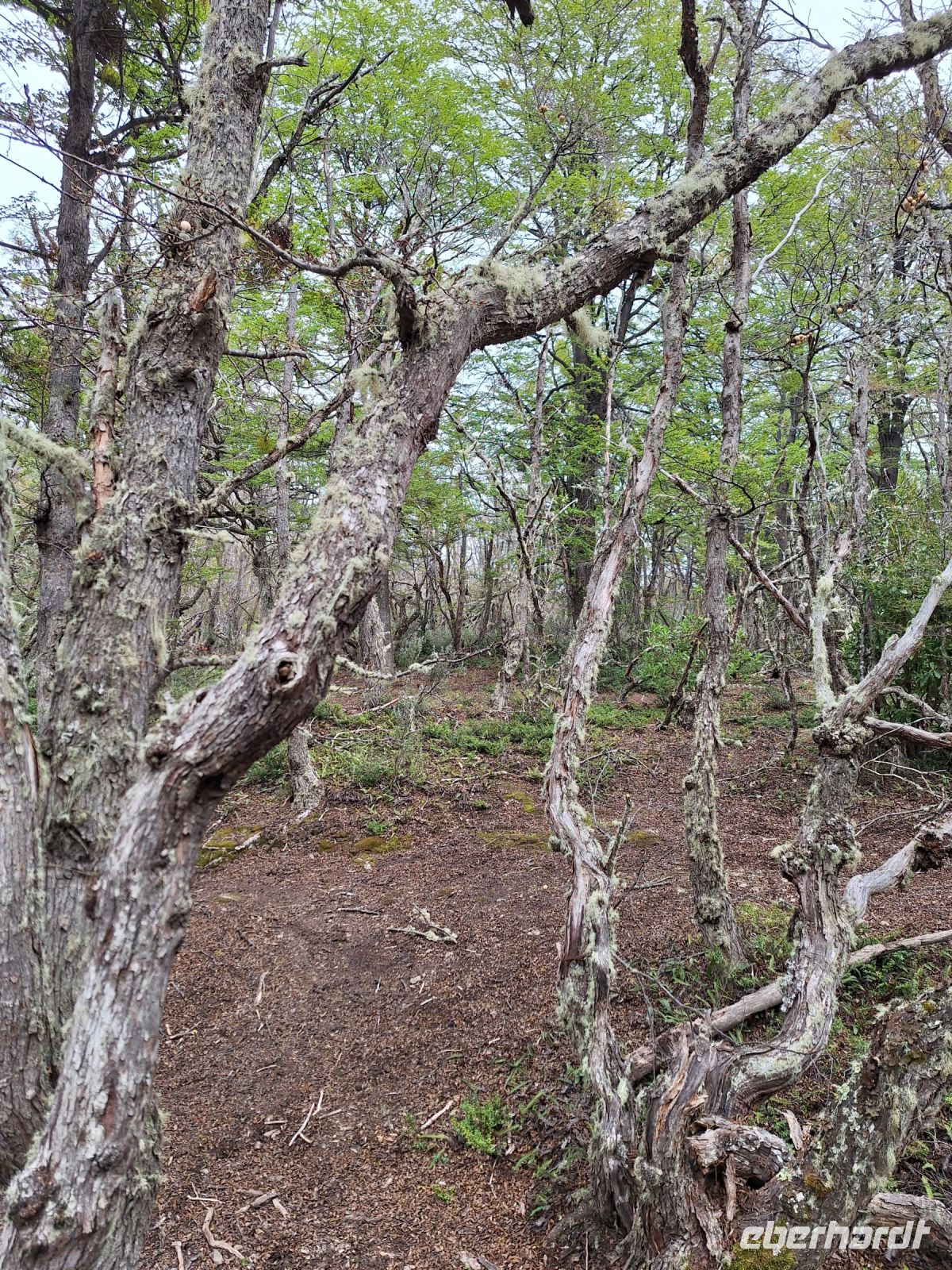 Feuerland Nationalpark