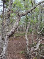 Feuerland Nationalpark