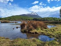 Feuerland Nationalpark