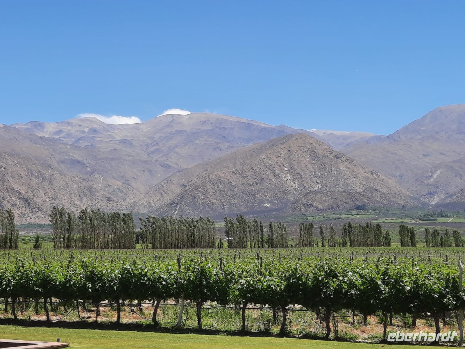 Weingut in Cafayate