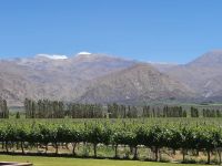 Weingut in Cafayate