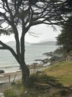 einsame Buchten im Nationalpark Feuerland