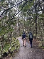 Spaziergang im Nationalpark Feuerland
