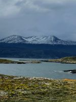 Inselwelt im Beaglekanal