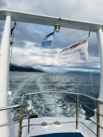 rasant geht es zurück