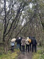 bekommen wir erklärt