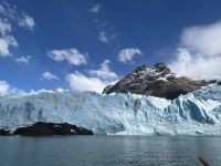 mit Geduld die schönsten Fotos erhascht