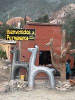 Die ersten Lamas gesichtet