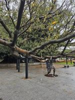 Eindrücke aus Buenos Aires