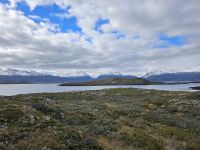 Aussicht von einer Insel im Beagle Kanal