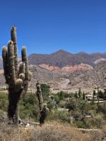 Blick in die Landschaft