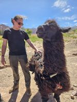 Pedro zeigt uns ein Alpaka