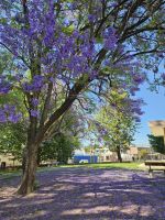 kurzer Zwischenstopp