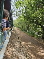 mit der Schmalspurbahn durch den Nationalpark