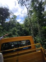 kurze Safari durch den Jungle ehe es aufs Boot geht (optional)