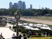 Pferde in der Zielgerade Pferderennbahn Buenos Aires