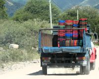 Transporter auf dem Weingut Bodega Piatelli