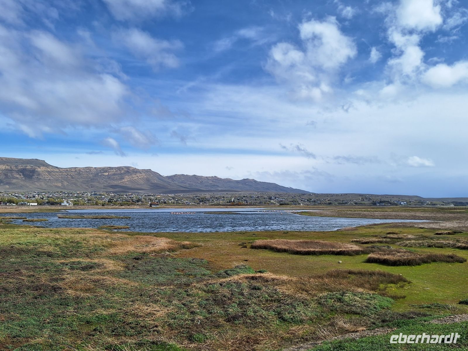 Laguna Nimez
