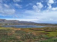 Laguna Nimez