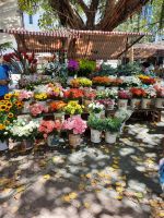 Markt in Ipanema