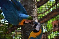 Vogelpark 10