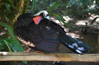 Vogelpark 4