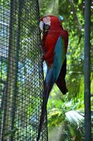Vogelpark 8