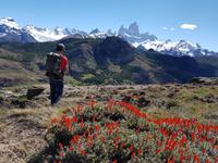17 Tage Wanderreise Argentinien und Chile – Patagonien und Feuerland mit Buenos Aires – Nationalpark Los Glaciares mit El Chalten und Perito Moreno – Nationalpark Torres del Paine – Feuerland – Ushuaia (91)