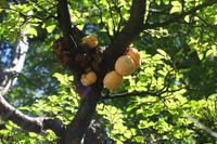 17 Tage Wanderreise Argentinien und Chile – Patagonien und Feuerland mit Buenos Aires – Nationalpark Los Glaciares mit El Chalten und Perito Moreno – Nationalpark Torres del Paine – Feuerland – Ushuaia (124)