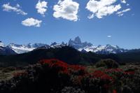 17 Tage Wanderreise Argentinien und Chile – Patagonien und Feuerland mit Buenos Aires – Nationalpark Los Glaciares mit El Chalten und Perito Moreno – Nationalpark Torres del Paine – Feuerland – Ushuaia (134)