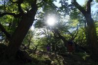 17 Tage Wanderreise Argentinien und Chile – Patagonien und Feuerland mit Buenos Aires – Nationalpark Los Glaciares mit El Chalten und Perito Moreno – Nationalpark Torres del Paine – Feuerland – Ushuaia (186)