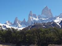 17 Tage Wanderreise Argentinien und Chile – Patagonien und Feuerland mit Buenos Aires – Nationalpark Los Glaciares mit El Chalten und Perito Moreno – Nationalpark Torres del Paine – Feuerland – Ushuaia (188)