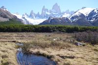 17 Tage Wanderreise Argentinien und Chile – Patagonien und Feuerland mit Buenos Aires – Nationalpark Los Glaciares mit El Chalten und Perito Moreno – Nationalpark Torres del Paine – Feuerland – Ushuaia (213)