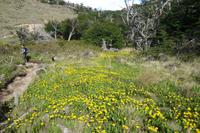 17 Tage Wanderreise Argentinien und Chile – Patagonien und Feuerland mit Buenos Aires – Nationalpark Los Glaciares mit El Chalten und Perito Moreno – Nationalpark Torres del Paine – Feuerland – Ushuaia (244)