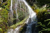 17 Tage Wanderreise Argentinien und Chile – Patagonien und Feuerland mit Buenos Aires – Nationalpark Los Glaciares mit El Chalten und Perito Moreno – Nationalpark Torres del Paine – Feuerland – Ushuaia (290)