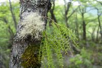 17 Tage Wanderreise Argentinien und Chile – Patagonien und Feuerland mit Buenos Aires – Nationalpark Los Glaciares mit El Chalten und Perito Moreno – Nationalpark Torres del Paine – Feuerland – Ushuaia (294)