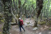 17 Tage Wanderreise Argentinien und Chile – Patagonien und Feuerland mit Buenos Aires – Nationalpark Los Glaciares mit El Chalten und Perito Moreno – Nationalpark Torres del Paine – Feuerland – Ushuaia (305)