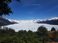 17 Tage Wanderreise Argentinien und Chile – Patagonien und Feuerland mit Buenos Aires – Nationalpark Los Glaciares mit El Chalten und Perito Moreno – Nationalpark Torres del Paine – Feuerland – Ushuaia (319)