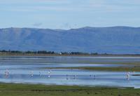 17 Tage Wanderreise Argentinien und Chile – Patagonien und Feuerland mit Buenos Aires – Nationalpark Los Glaciares mit El Chalten und Perito Moreno – Nationalpark Torres del Paine – Feuerland – Ushuaia (346)