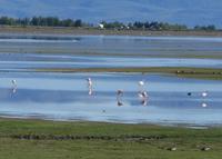 17 Tage Wanderreise Argentinien und Chile – Patagonien und Feuerland mit Buenos Aires – Nationalpark Los Glaciares mit El Chalten und Perito Moreno – Nationalpark Torres del Paine – Feuerland – Ushuaia (348)