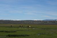 17 Tage Wanderreise Argentinien und Chile – Patagonien und Feuerland mit Buenos Aires – Nationalpark Los Glaciares mit El Chalten und Perito Moreno – Nationalpark Torres del Paine – Feuerland – Ushuaia (349)